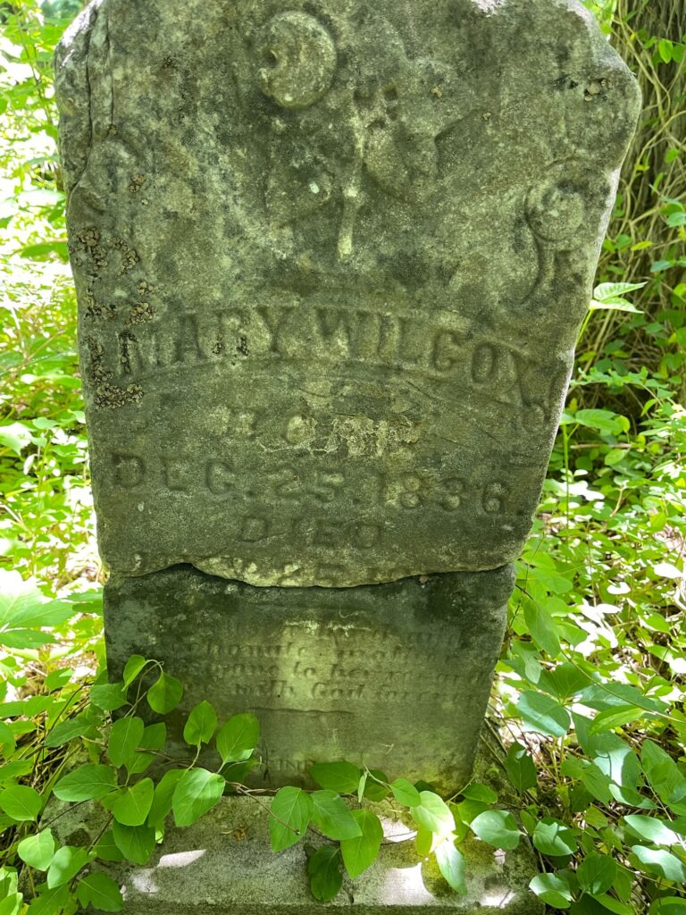 Headstone for Mary Wilcox